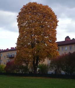 hostbild2